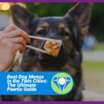 12 Dog Friendly Patios in the Twin Cities: 2026 Pawtio Guide The Best Dog Menus in the Twin Cities: The Ultimate Pawtio Guide Dog friendly patios Minneapolis
